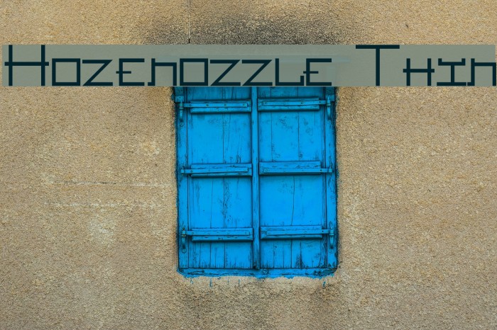 Hozenozzle Thin Font examples