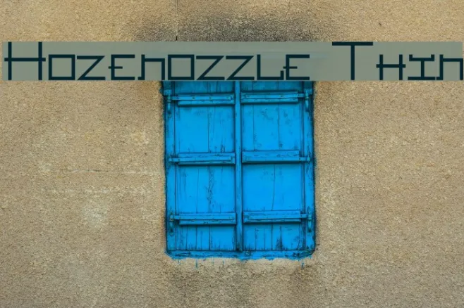 Hozenozzle Thin Example 1