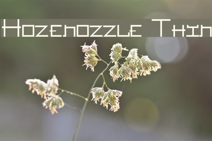 Hozenozzle Thin Font examples