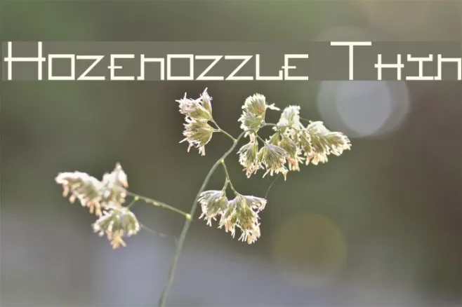 Hozenozzle Thin Example 2