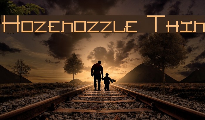 Hozenozzle Thin Font examples