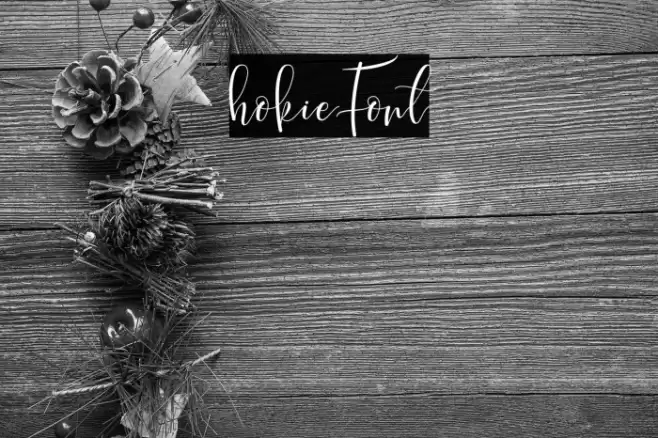 hokie Font examples