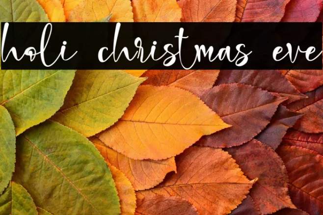 holi christmas eve Example 3