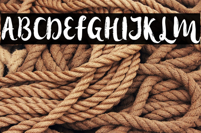 hollicdemo Example 2