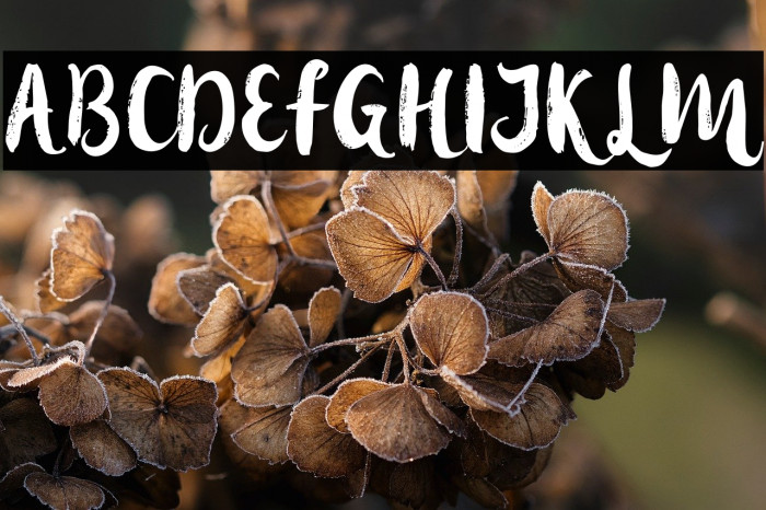 hollicdemo Example 3