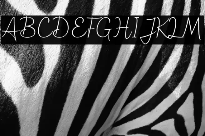 hollograph Font examples