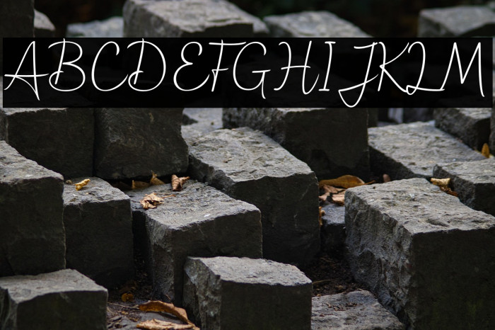 hollograph Example 3