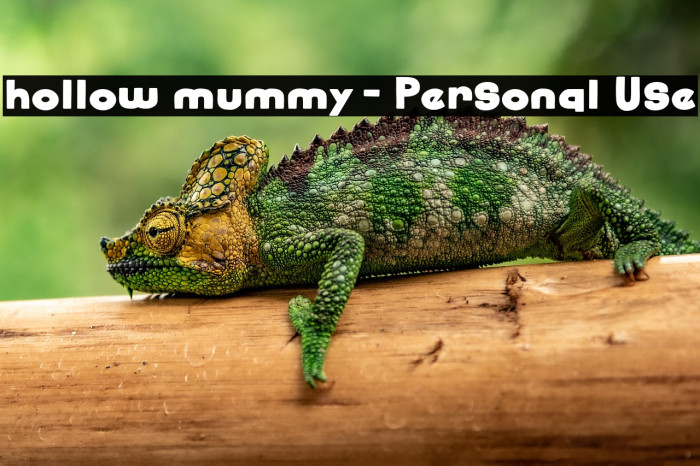 hollow mummy - Personal Use Example 1