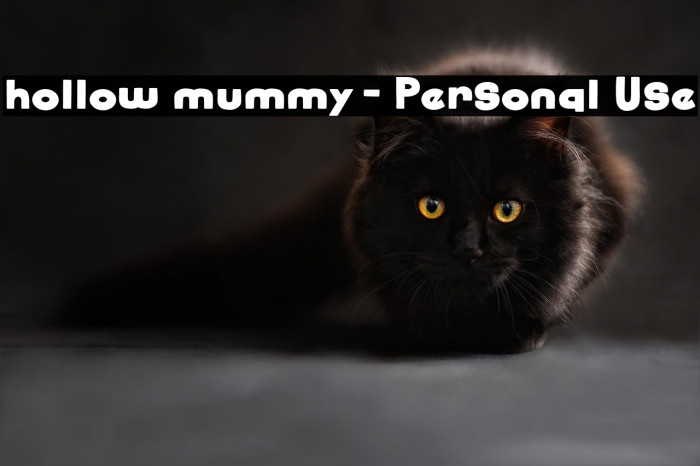 hollow mummy - Personal Use Example 3