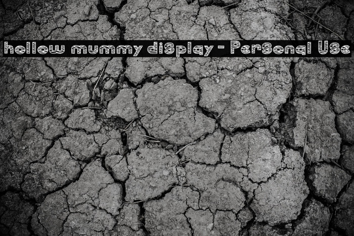 hollow mummy display - Personal Use Example 1