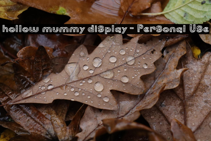 hollow mummy display - Personal Use Example 3