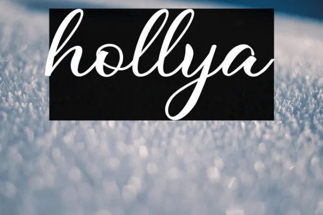 hollya Example 3
