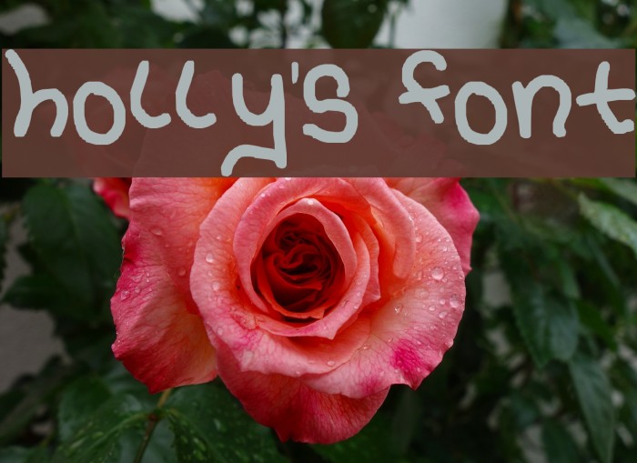 holly's font Font examples