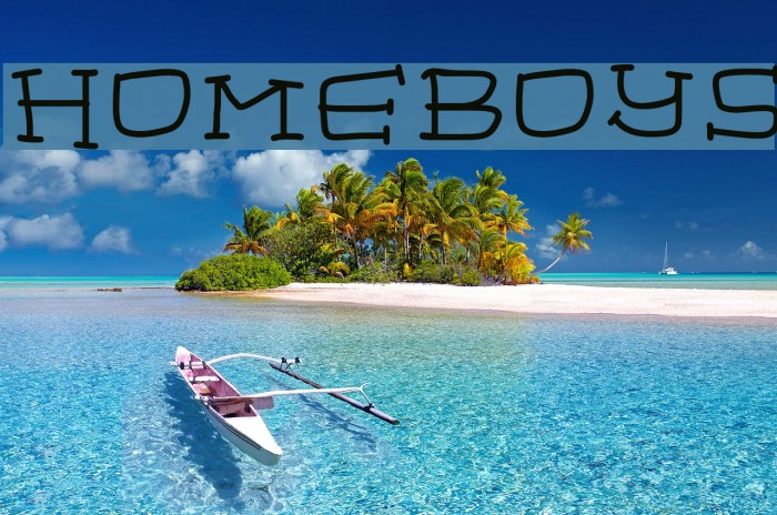 homeboys Example 1