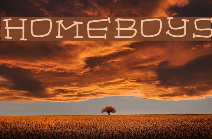 homeboys Example 2