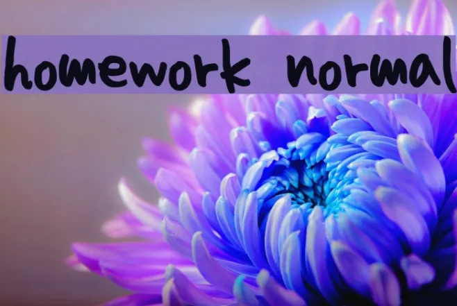 homework normal Example 2