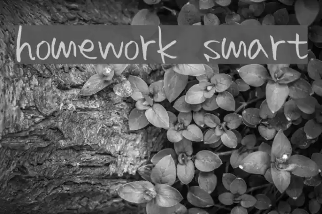 homework smart Font examples