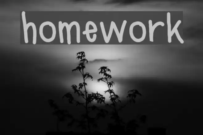 homework Font examples