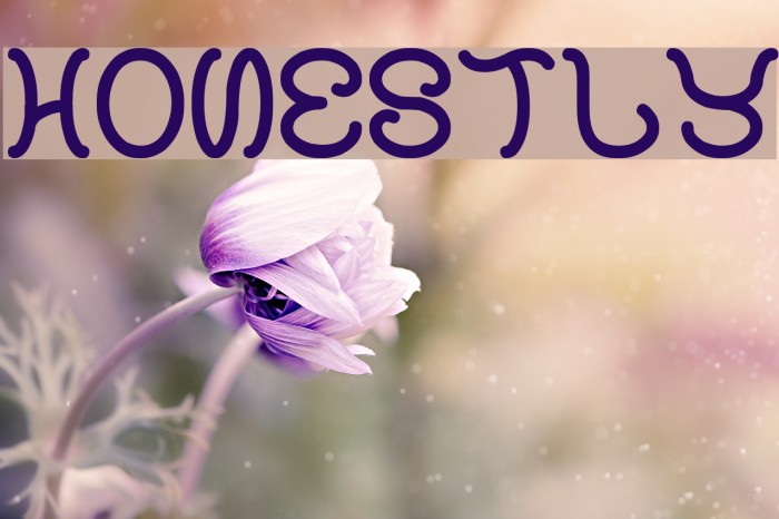 honestly Font examples