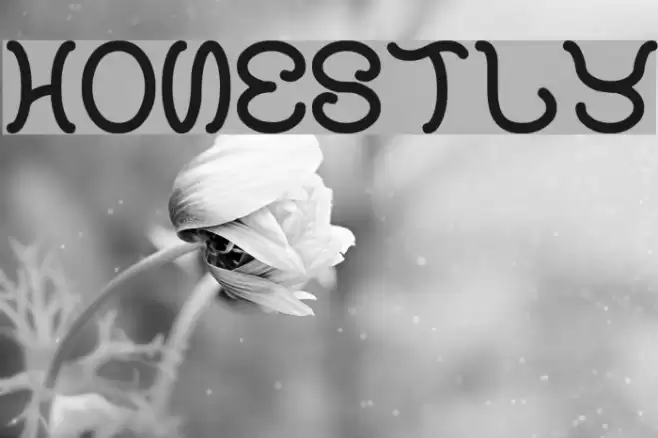 honestly Font examples