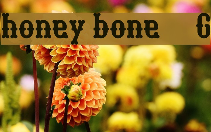 honey bone__G Шрифта examples