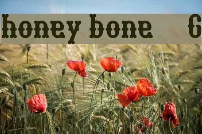 honey bone__G Шрифта examples