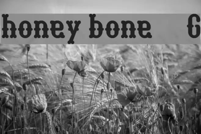 honey bone__G Font examples