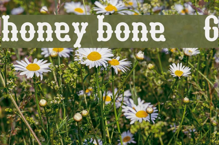 honey bone__G Шрифта examples