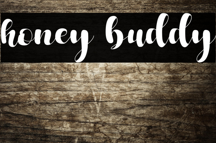 honey buddy Example 1