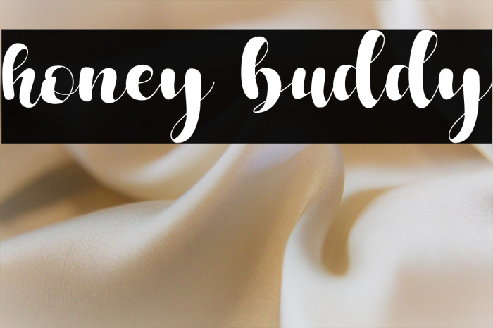 honey buddy Example 3