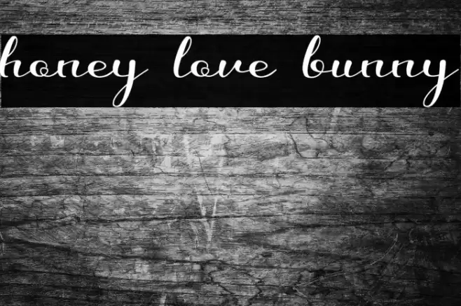 honey love bunny Font examples