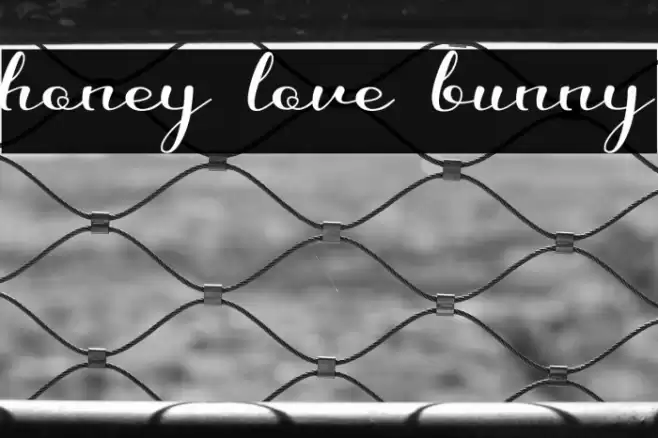 honey love bunny Font examples