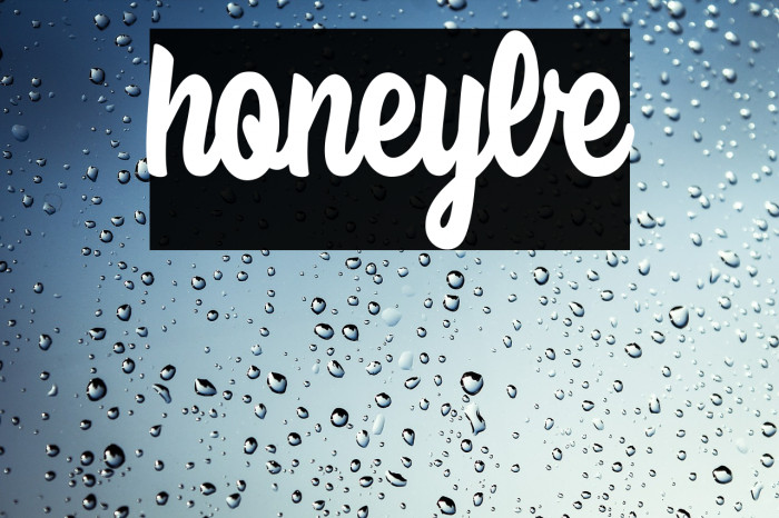 honeybe Example 2