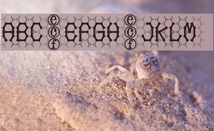 honeycomb [eval] Example 1