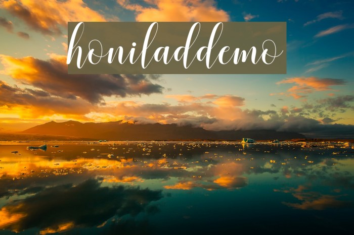 honiladdemo Font examples