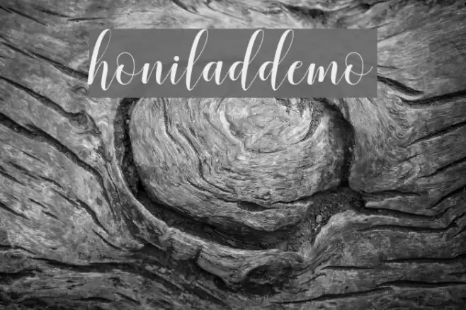 honiladdemo Font examples