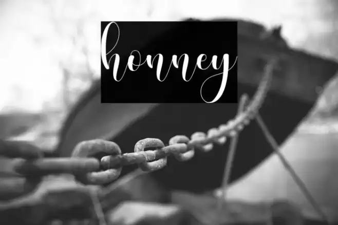 honney Font examples