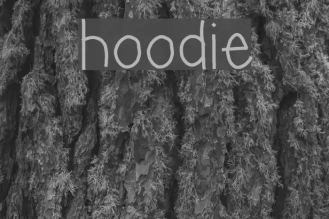 hoodie Font examples