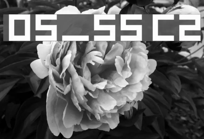 hooge 05_55 Cyr2 Fonte examples