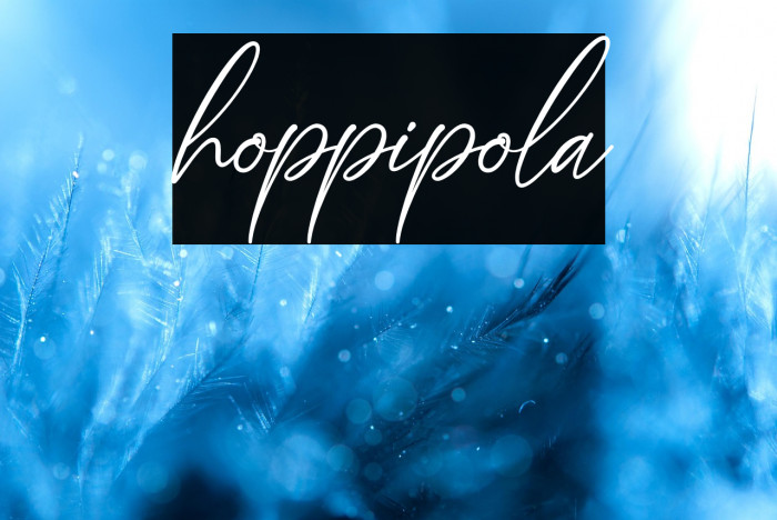 hoppipola Example 1