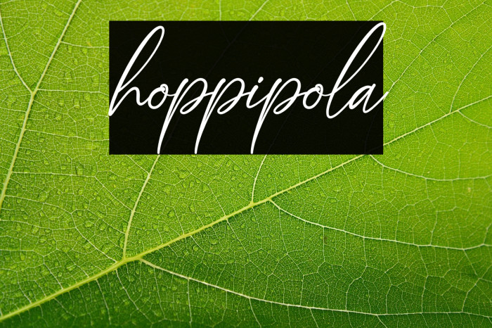hoppipola Example 3