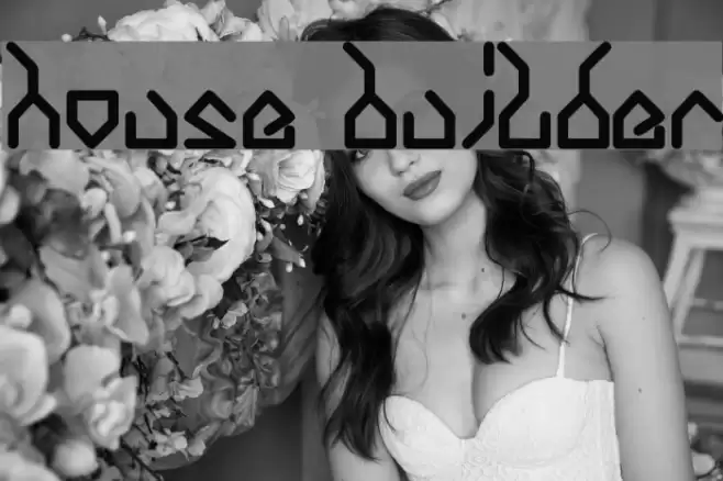 house builder Font examples