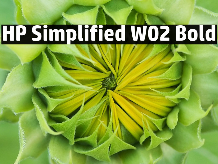 HP Simplified W02 Bold Example 3