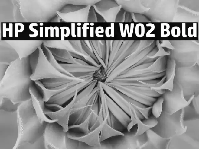 HP Simplified W02 Bold Font examples
