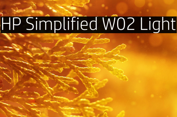 HP Simplified W02 Light Example 1