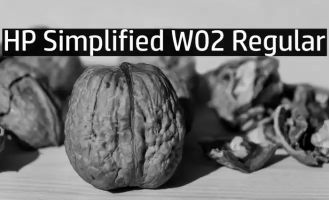 HP Simplified W02 Regular Font examples