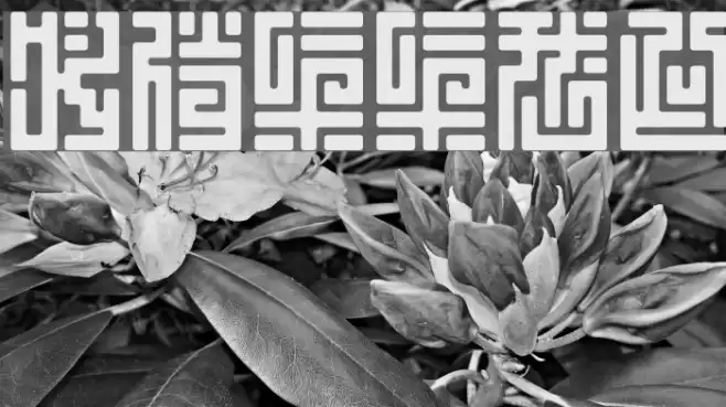 HRKtKAI Font examples