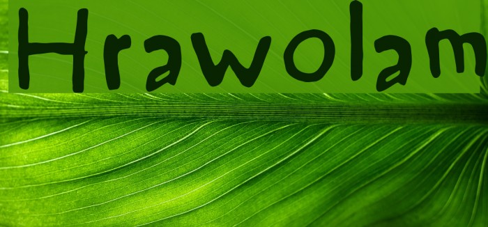 Hrawolam Font examples
