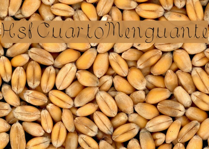 HsfCuartoMenguante Example 2