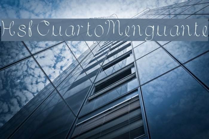 HsfCuartoMenguante Example 3